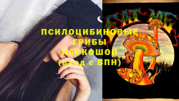 mdma Няндома