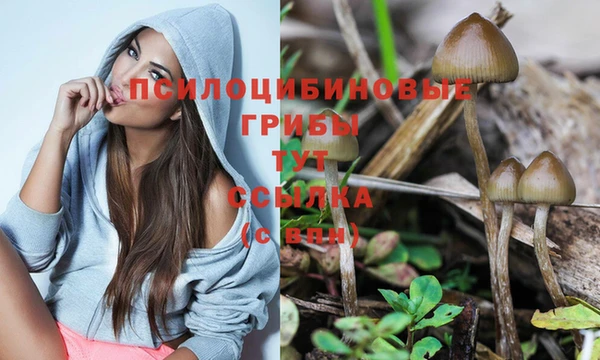 mdma Няндома