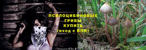 apvp Нягань