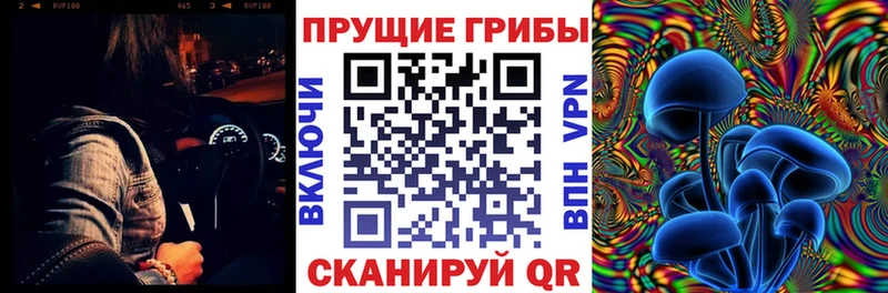 Псилоцибиновые грибы Psilocybe Рассказово