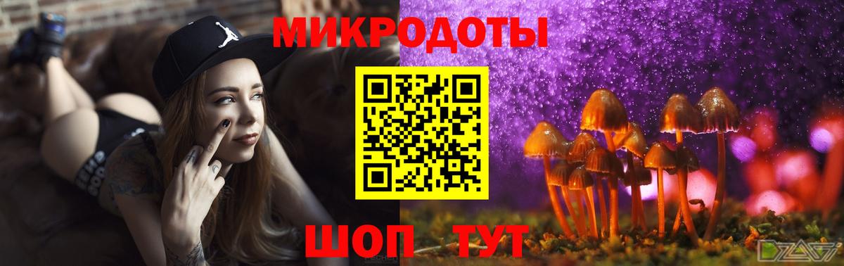 Рассказово  Псилоцибиновые грибы мицелий  купить закладку  Вход с VPN 